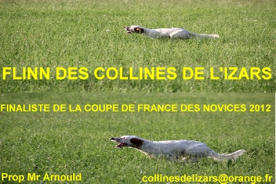 des collines de l'Izars - Finale Coupe de France des Novices 2012