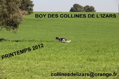 des collines de l'Izars - 1er  Excellent pour Boy à l'Open de France de Grande Quête