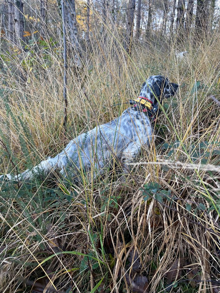 Saffy di val di chiana 